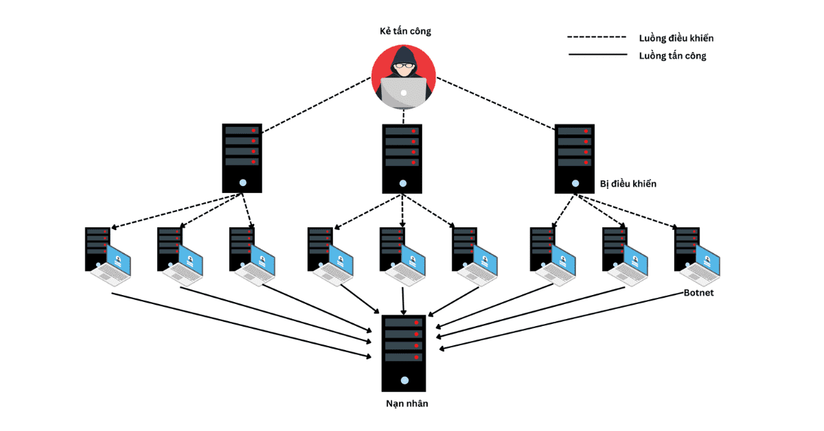 cách thức hoạt động ddos