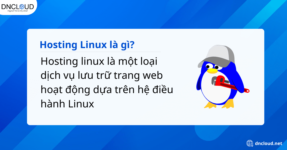 Khái niệm về hosting Linux là gì?