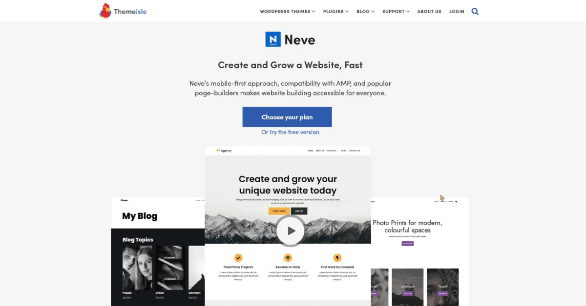 Theme Neve
